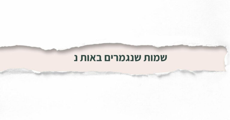 שמות שנגמרים באות נ