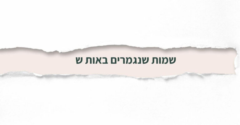 שמות שנגמרים באות ש