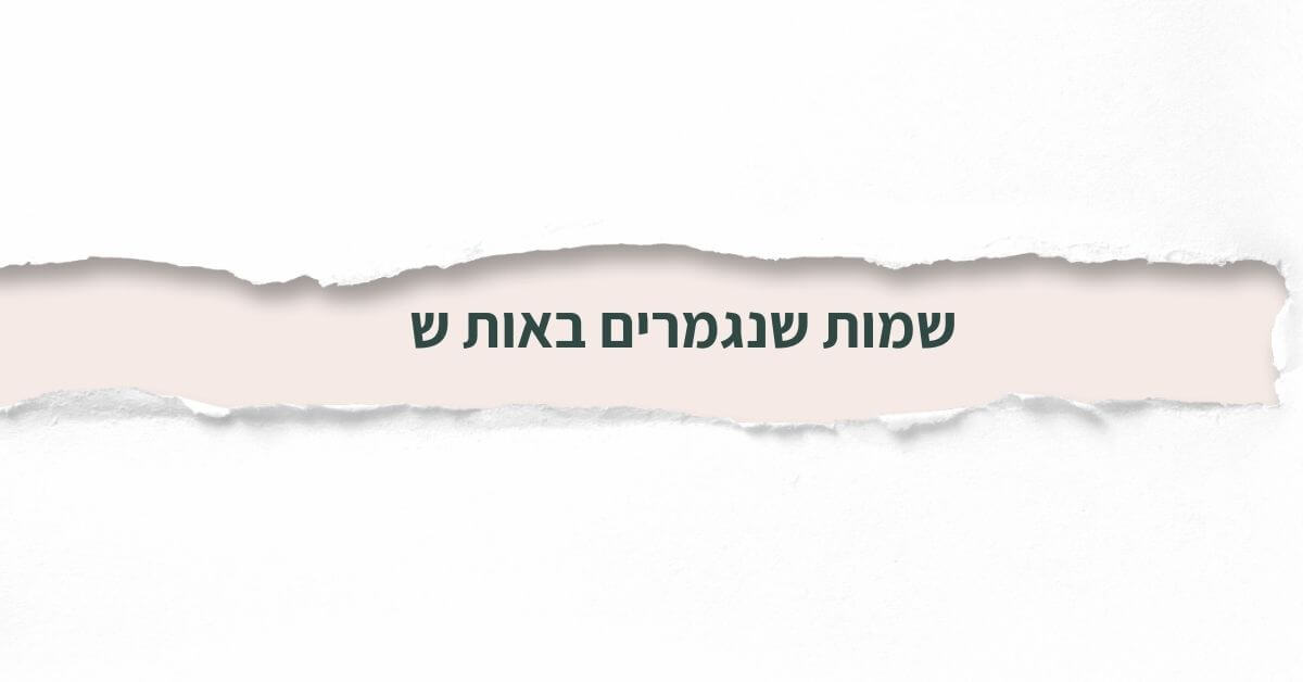 שמות שנגמרים באות ש