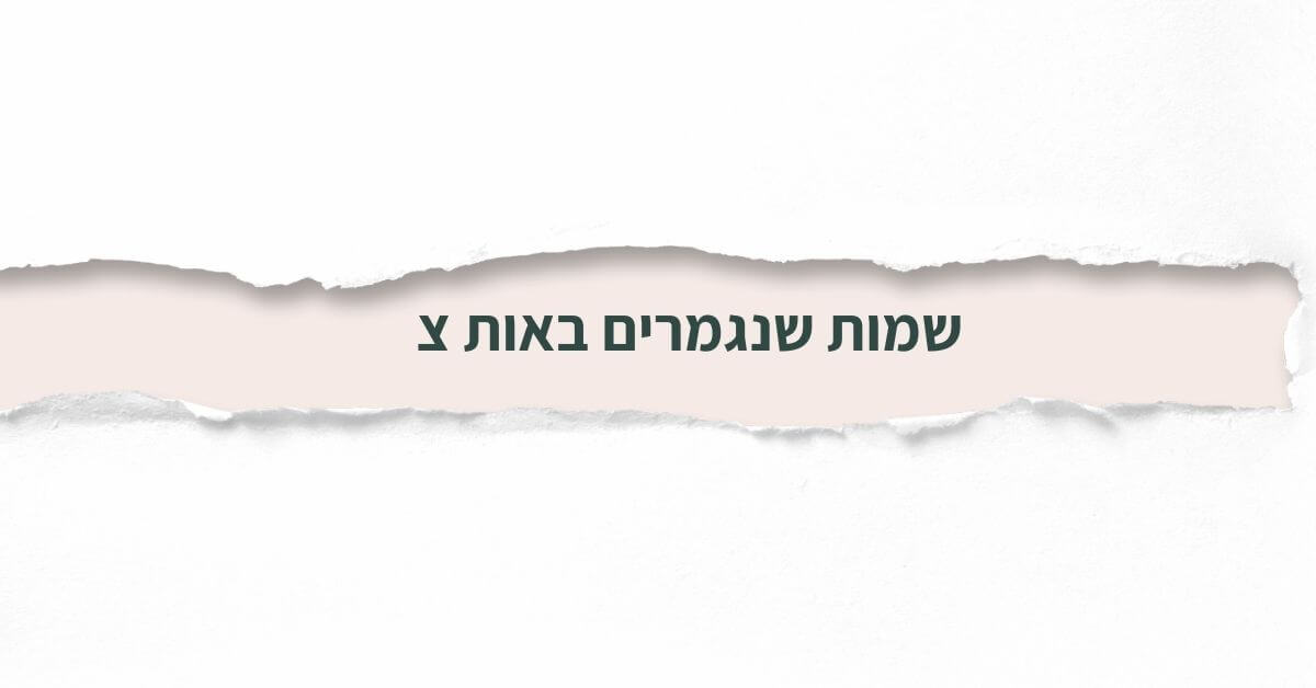 שמות שנגמרים באות צ